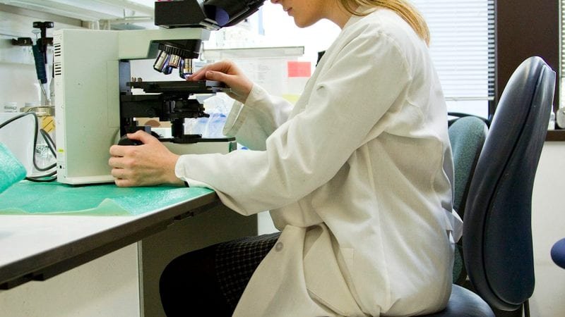 Los 100 giros gratis de LolaJack